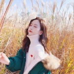 网赌软件在线下载